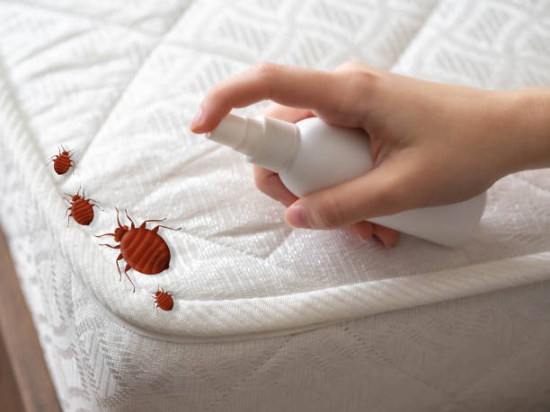  Pontiac, MI Pest Control Pros