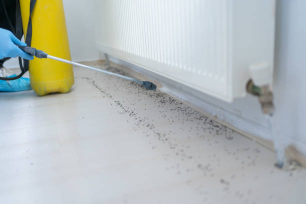 Best Local Pest Control Services  in Pontiac, MI